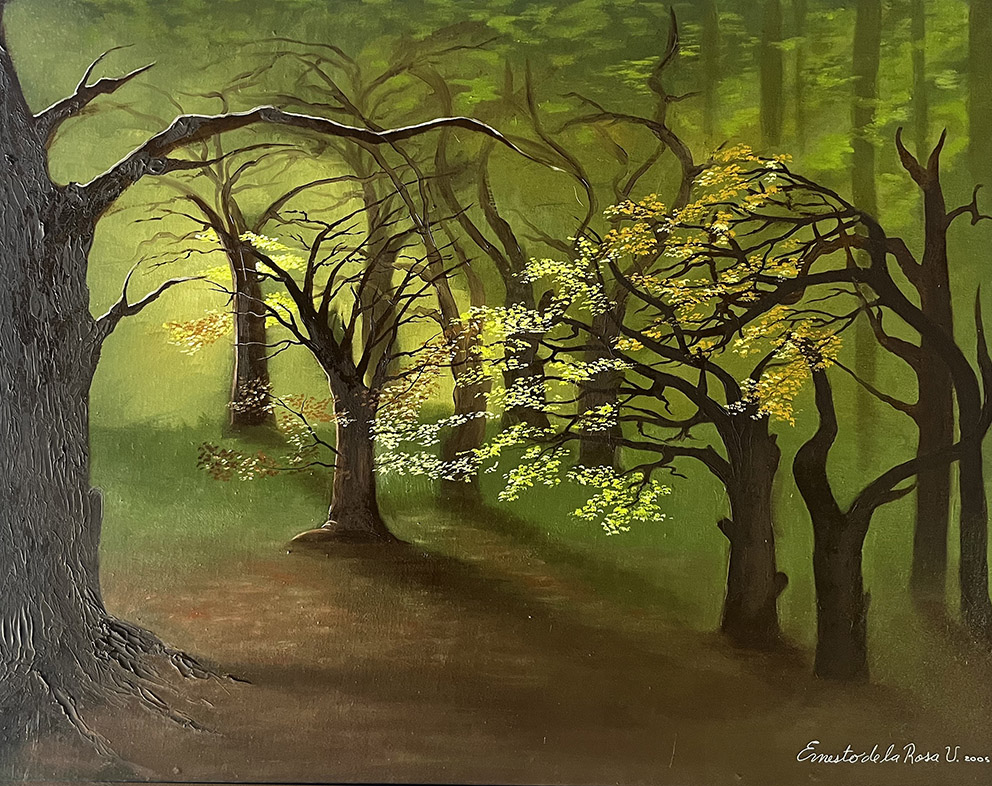 Where Trees Remember