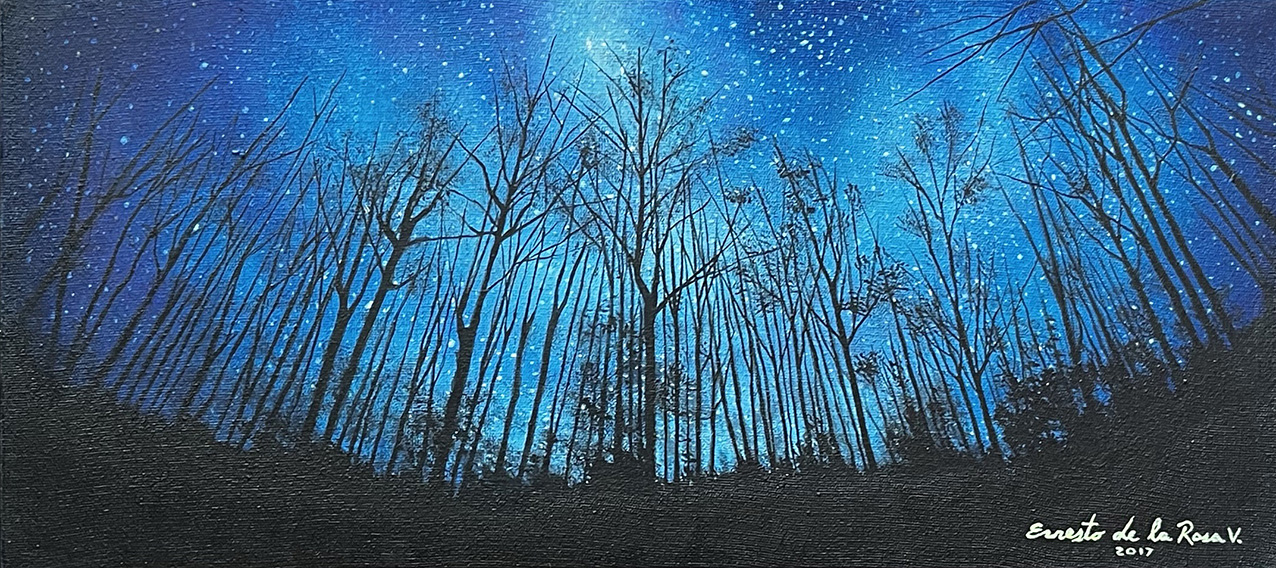 Bosque Estrellado