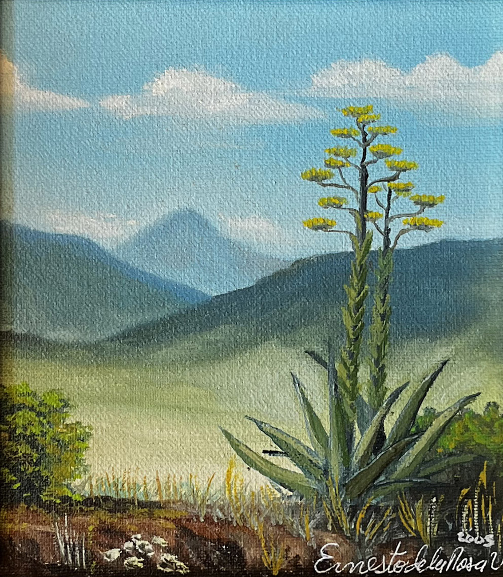 En el Valle de San Antonio