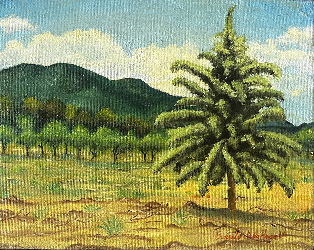 El Guardián de Agua Blanca