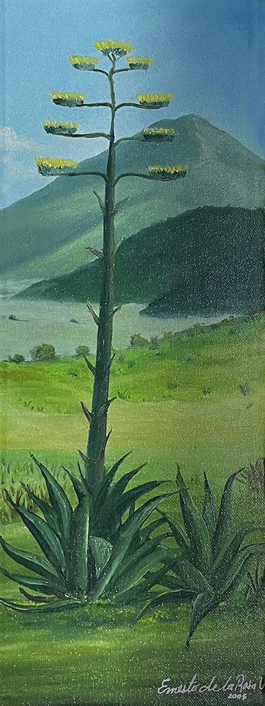 Detalle del Puerto de los Lirios