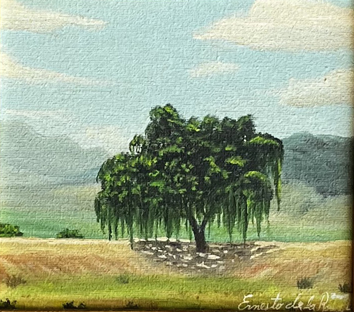 En el Valle de San Antonio