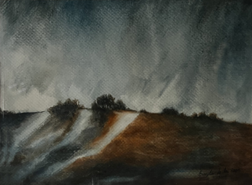 Paisaje en Transformación